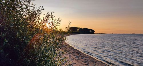 Krautsand-hundestrand-1