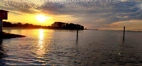 Krautsand-hundestrand-2