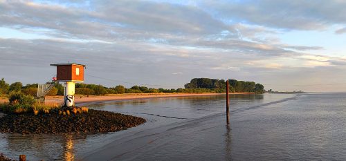 Krautsand-hundestrand-4