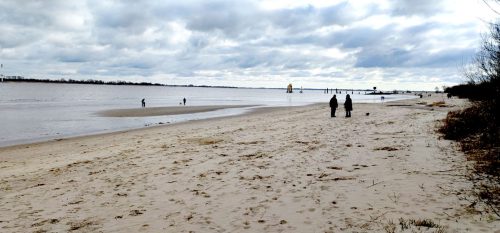 Krautsand-hundestrand