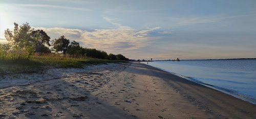 elbstrand-krautsand-2