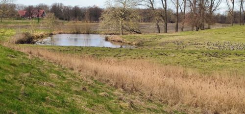 fruehling-5