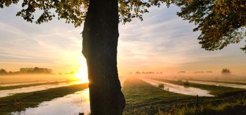 herbst-8
