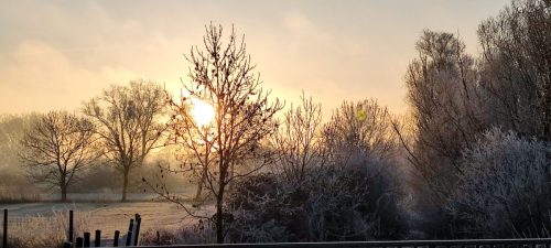 winter-reif-kehdinger-land-10