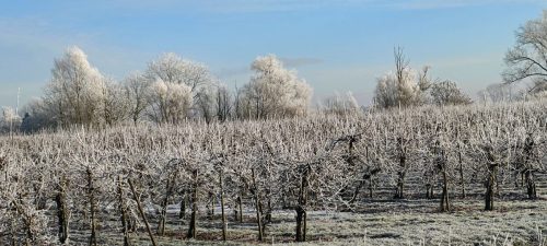 winter-reif-kehdinger-land-13