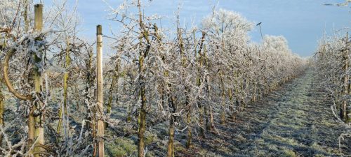 winter-reif-kehdinger-land-14