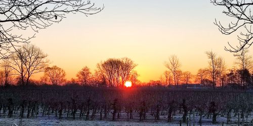 winter-reif-kehdinger-land-18