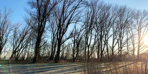 winter-reif-kehdinger-land-21