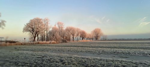 winter-reif-kehdinger-land-3