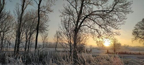 winter-reif-kehdinger-land-4