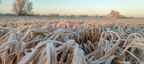 winter-reif-kehdinger-land-5