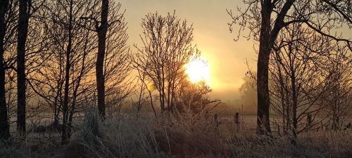 winter-reif-kehdinger-land-6