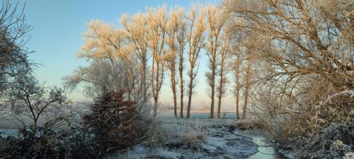 winter-reif-kehdinger-land-8