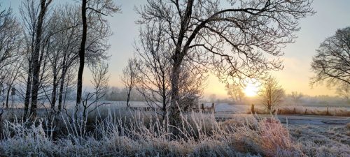 winter-reif-kehdinger-land-9